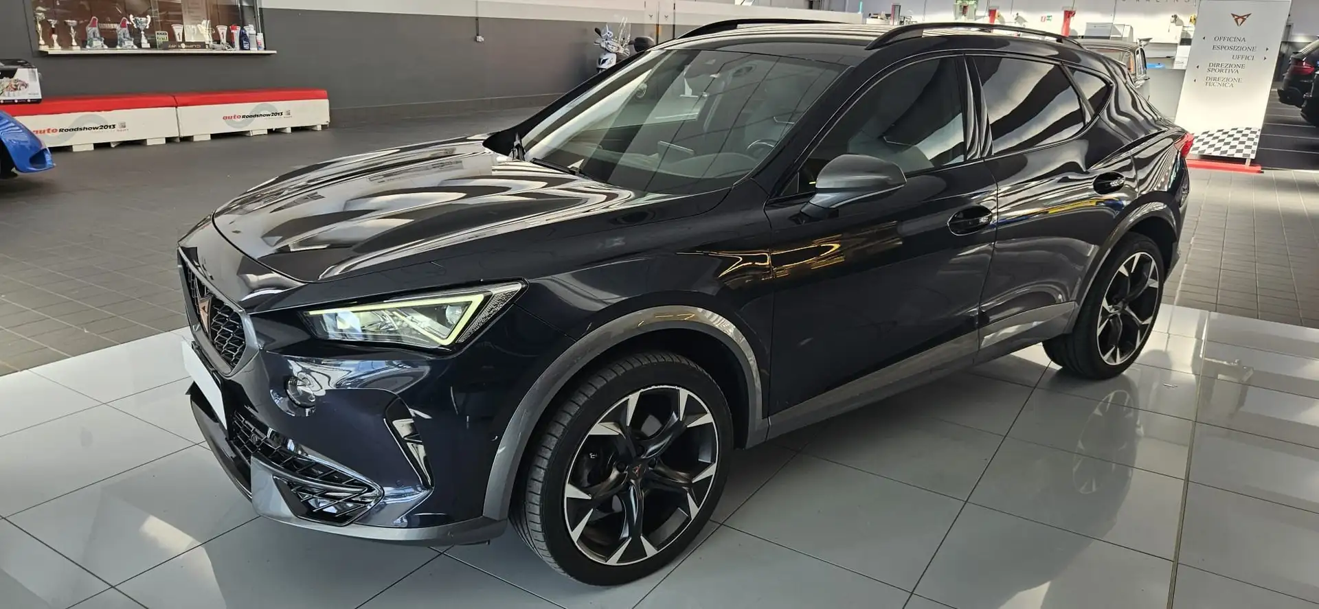 CUPRA Formentor Formentor 2.0 tdi 4drive 150cv dsg Bleu - 2