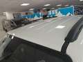 Jeep Renegade PHEV 1.3 Turbo 190cv 4xe AT6 Limited Bianco - thumbnail 14