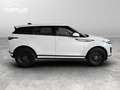 Land Rover Range Rover Evoque 2.0d i4 S fwd 163cv Bianco - thumbnail 7