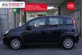 Fiat Panda 1.0 FireFly S&S Hybrid PROMOZIONE Unicoproprietar Zwart - thumbnail 4
