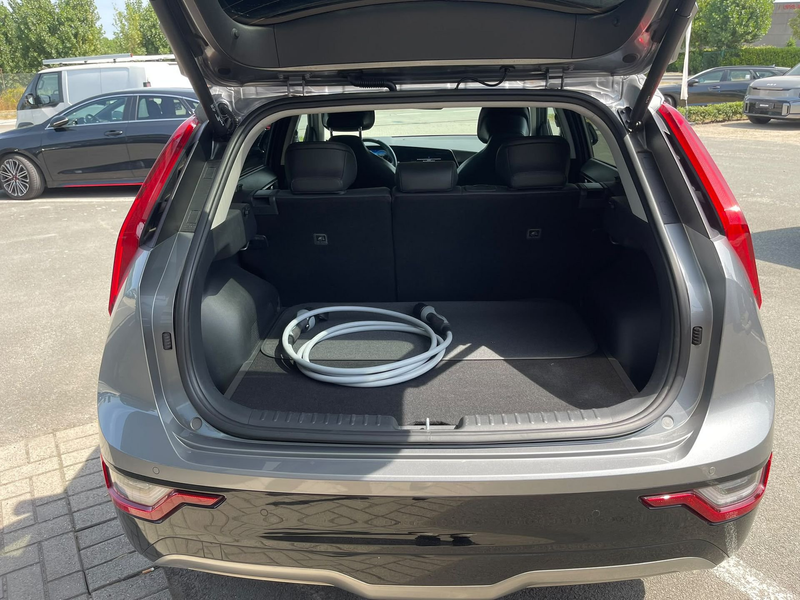 Kia e-Niro 64,8 kWh Pulse — photo 10