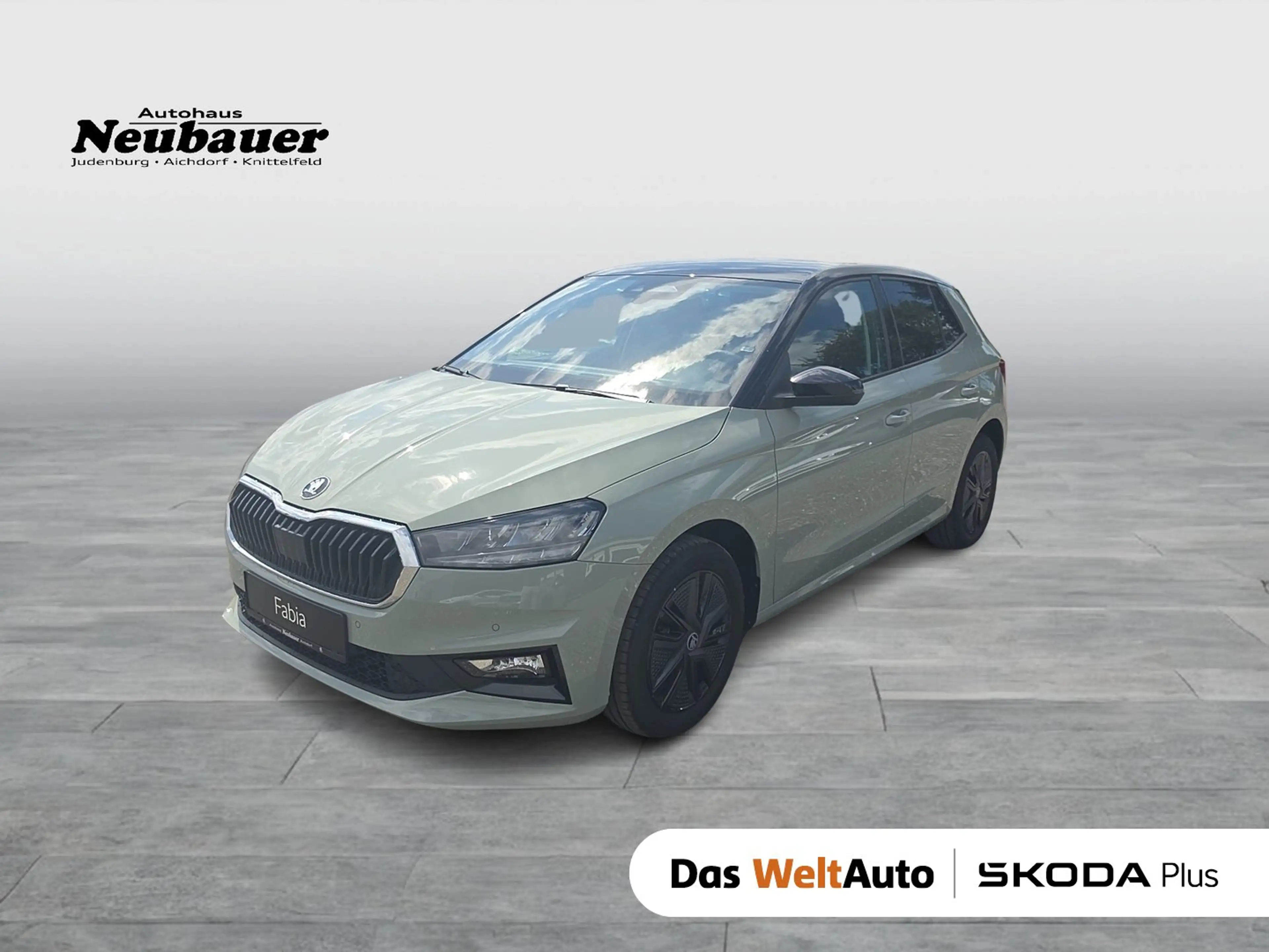 Skoda Fabia Selection TSI