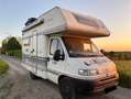LMC Fiat Ducato Liberty 1.9TD  pret à immatriculer Wit - thumbnail 3