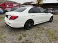 Mercedes-Benz E 300 E 300 d (213.008) AMG Weiß - thumbnail 4