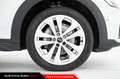 Audi A4 allroad Allroad 40 TDI 204 CV quattro S tronic Business E Bianco - thumbnail 11