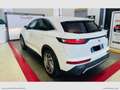 DS Automobiles DS 7 Crossback DS 7 Crossback BlueHDi 130 aut. Grand Chic Bianco - thumbnail 15