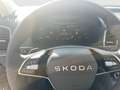 Skoda Karoq 4x4 Selection TDI DSG Schwarz - thumbnail 9
