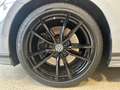 Volkswagen Passat Variant 2.0 TSI 4M R Line Limited Edition Gris - thumbnail 9