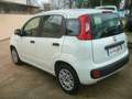 Fiat Panda 1.0 70cv   hibrid  e6d Bianco - thumbnail 5