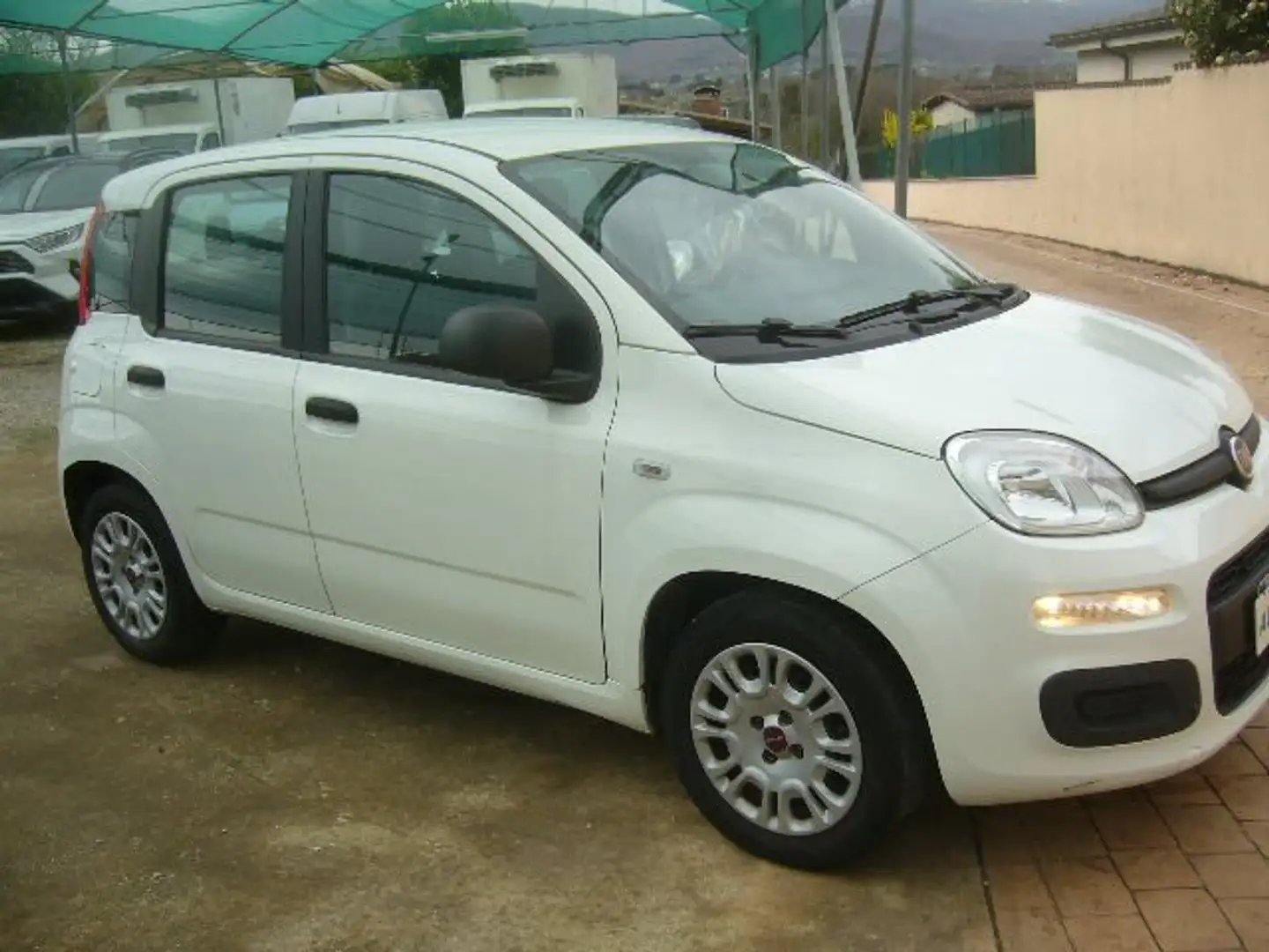 Fiat Panda 1.0 70cv   hibrid  e6d Bianco - 1
