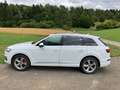 Audi Q7 Audi Q7 -VOLL- e-tron SH Matrix Pano Luft HUD AHK Weiß - thumbnail 3