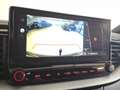 Kia Ceed SW / cee'd SW 1.0 T-GDi 120pk GT-Line Edition NAVI CAMERA TREKHA Grijs - thumbnail 28