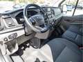 Ford Transit DoKa Pritsche Laubfang TREND 350L3 Weiß - thumbnail 9