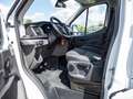 Ford Transit DoKa Pritsche Laubfang TREND 350L3 Weiß - thumbnail 10