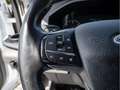 Ford Transit DoKa Pritsche Laubfang TREND 350L3 Weiß - thumbnail 18