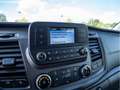 Ford Transit DoKa Pritsche Laubfang TREND 350L3 Weiß - thumbnail 12