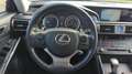 Lexus IS 300 300h 2.5 VVT-i 223 CVT Pack - thumbnail 23