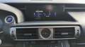 Lexus IS 300 300h 2.5 VVT-i 223 CVT Pack - thumbnail 13