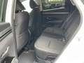 Hyundai TUCSON Trend Hybrid ACC LED SHZ KAMERA AHK 19" Weiß - thumbnail 13