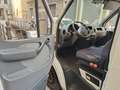 Mercedes-Benz Sprinter Furgon Blanc - thumbnail 6