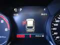 Alfa Romeo Stelvio 2.2 Veloce Q4 210 Aut. Rojo - thumbnail 17