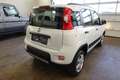 Fiat Panda 4x4 Wild Blanc - thumbnail 14
