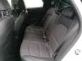 Kia XCeed 1.5 T-GDI Vision +DCT+Navi+R.Kam+Allwetter+ Weiß - thumbnail 11