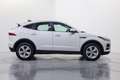 Jaguar E-Pace 2.0D I4 S AWD Aut. 163 Blanco - thumbnail 7