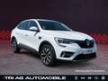 Renault Arkana Zen Automatik EDC GRA PDC Digitalradio Ca Weiß - thumbnail 1
