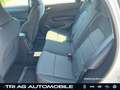 Renault Arkana Zen Automatik EDC GRA PDC Digitalradio Ca Bílá - thumbnail 10