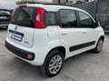 Fiat Panda Panda III 0.9 t.air t. natural power Easy 80cv Bianco - thumbnail 3