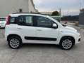 Fiat Panda Panda III 0.9 t.air t. natural power Easy 80cv Bianco - thumbnail 2