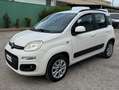 Fiat Panda Panda III 0.9 t.air t. natural power Easy 80cv Bianco - thumbnail 7