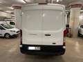 Ford Transit 350 96kW L2H2 Van Trend FWD MHEV Blanco - thumbnail 5