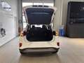 Ford Puma 1,0 EcoBoost Hybrid Titanium Weiß - thumbnail 14
