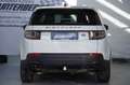 Land Rover Discovery Sport Discovery Sport 2,0 TD4 150 Pure A Weiß - thumbnail 11