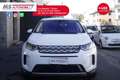 Land Rover Discovery Sport Land Rover Discovery Sport Discovery Sport 2.0 TD Bianco - thumbnail 10