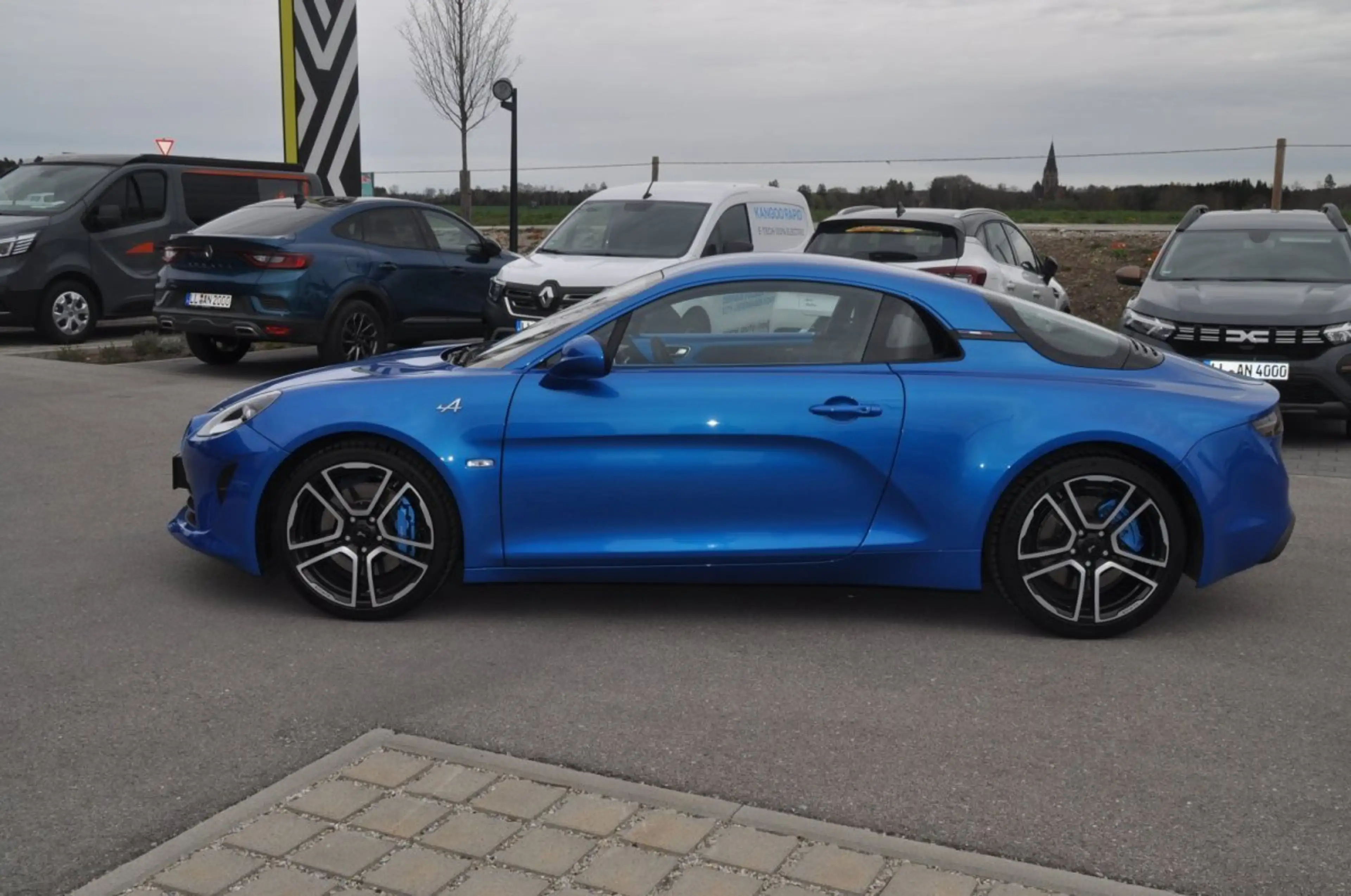 Alpine Alpine — photo 8