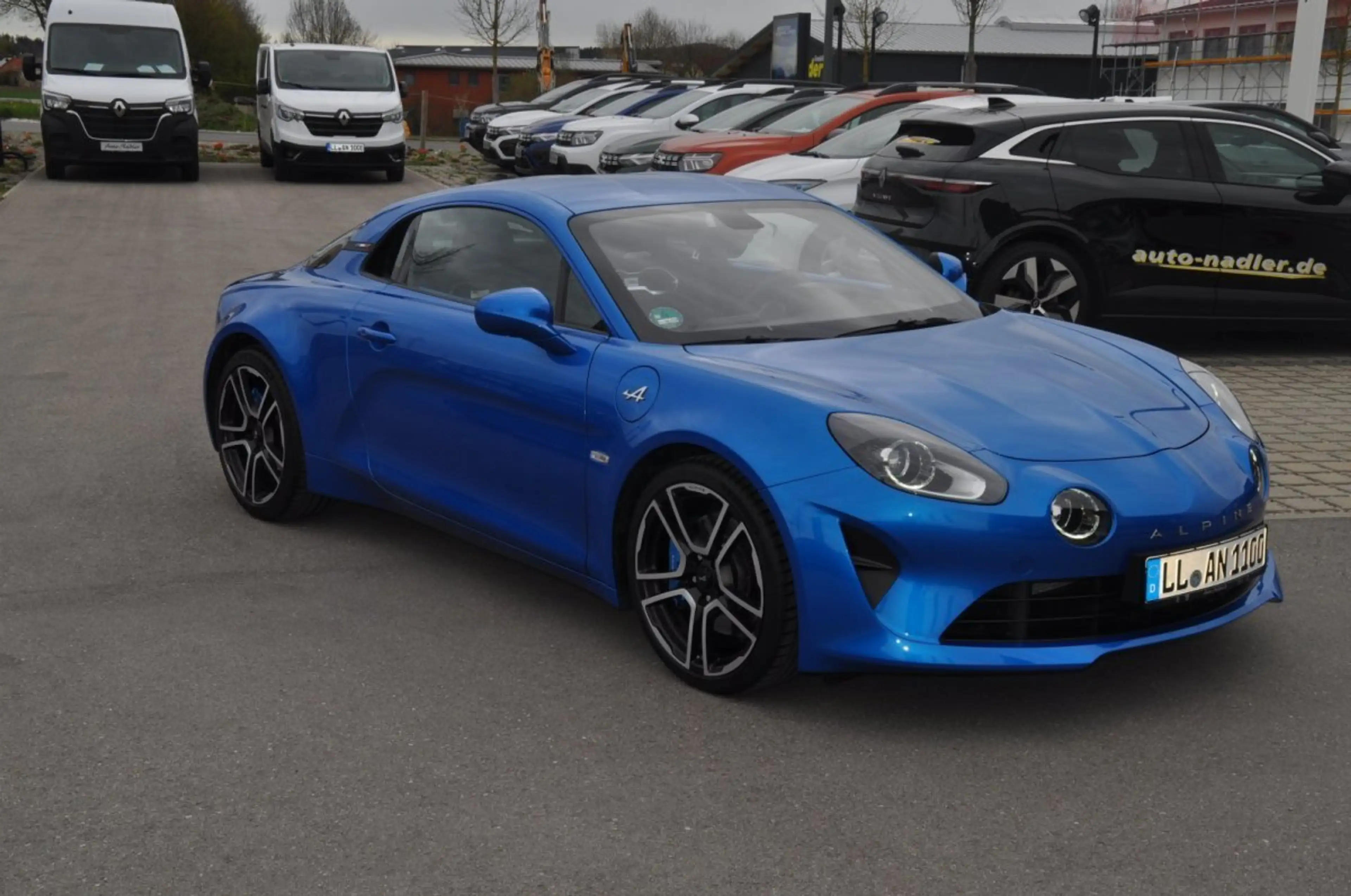 Alpine Alpine — photo 3