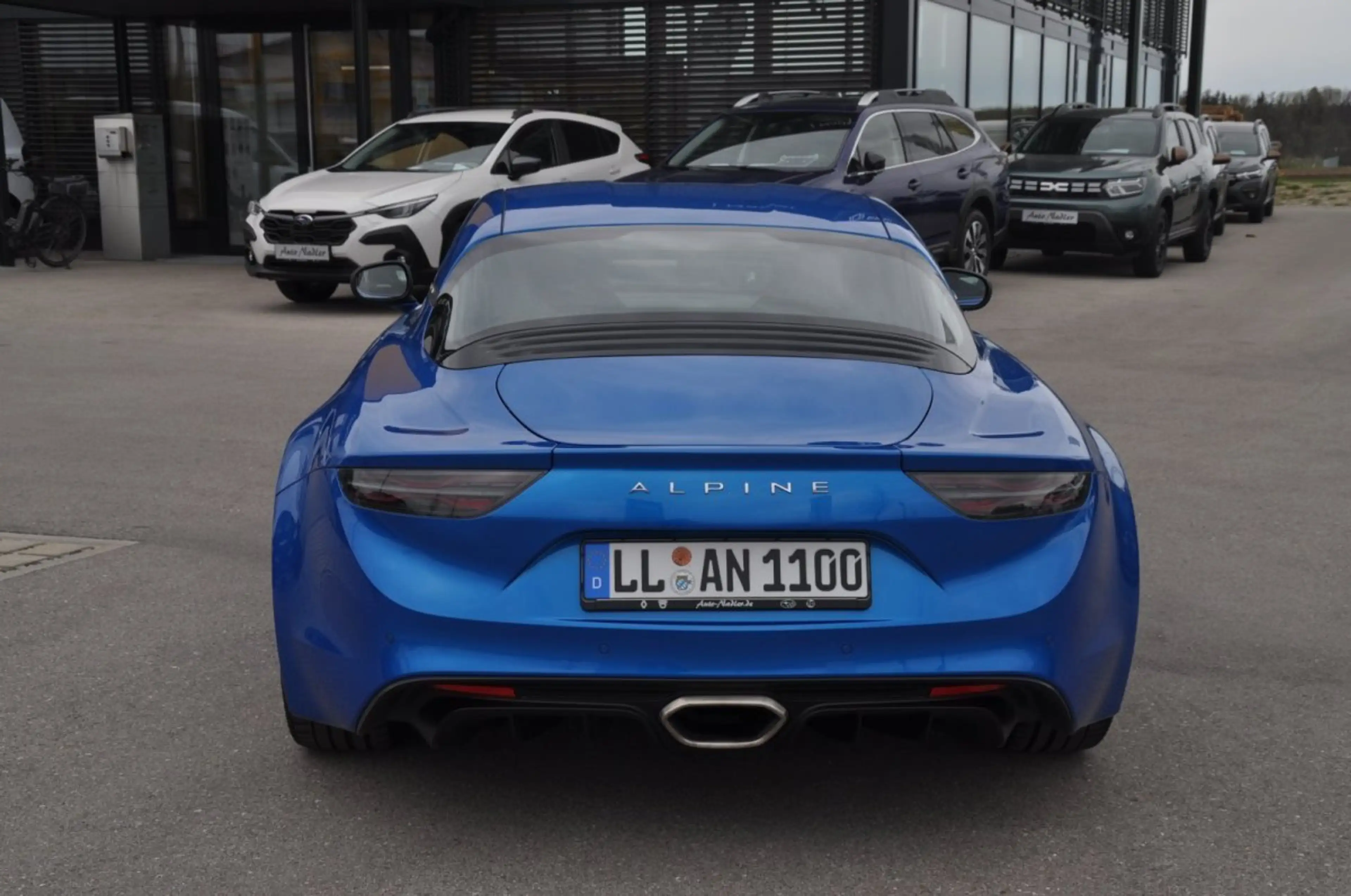 Alpine Alpine — photo 6