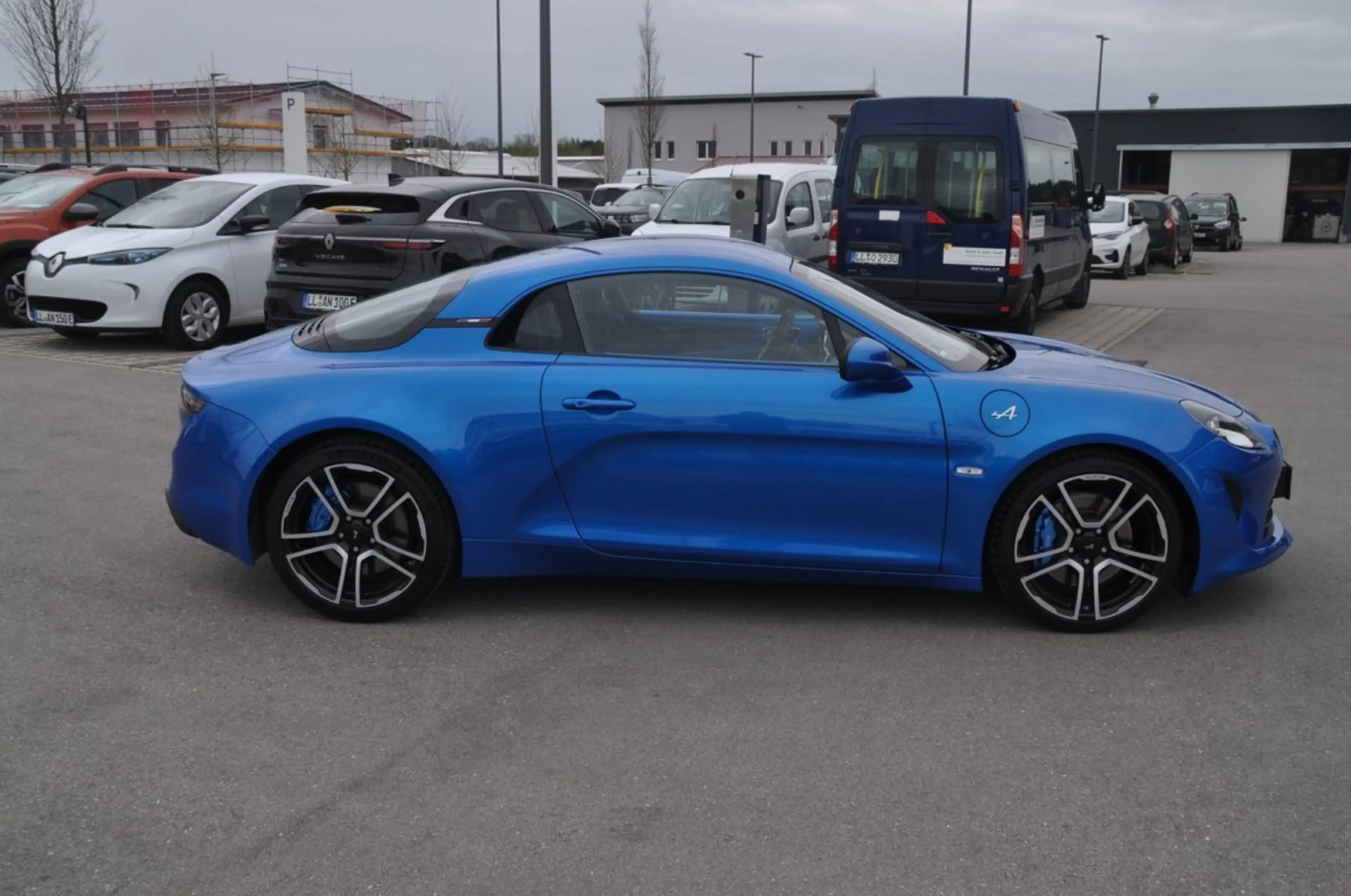 Alpine Alpine — photo 4