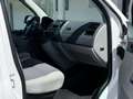 Volkswagen T5 Transporter KASTEN__NEUER 57a bis 04-2027__MWST ausw Weiß - thumbnail 14