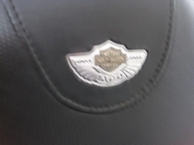 Harley-Davidson Chopper vrsca v-rod - foto 7