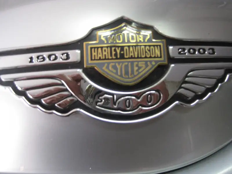 Harley-Davidson Chopper vrsca v-rod - foto 5