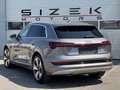Audi e-tron Audi e-tron 55 quattro 95kWh | S line  | Luftfa... Grau - thumbnail 4