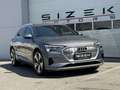 Audi e-tron Audi e-tron 55 quattro 95kWh | S line  | Luftfa... Grau - thumbnail 2