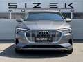 Audi e-tron Audi e-tron 55 quattro 95kWh | S line  | Luftfa... Grau - thumbnail 5