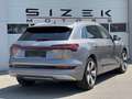 Audi e-tron Audi e-tron 55 quattro 95kWh | S line  | Luftfa... Grau - thumbnail 3