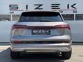 Audi e-tron Audi e-tron 55 quattro 95kWh | S line  | Luftfa... Grau - thumbnail 6
