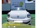 Volkswagen Beetle 2.0 TSI Sport DSG Blanc - thumbnail 3
